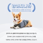 강아지나라