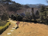 곡성나무펜션