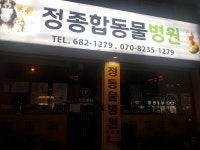 정종합동물병원