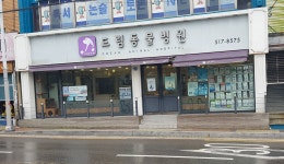 드림동물병원