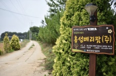 홍성베리팜