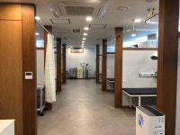 잠실바른정형외과의원