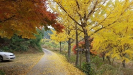 축령산편백하우스