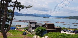 코디스인테리어