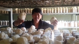 농업회사법인버섯천지