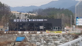 세인모터스