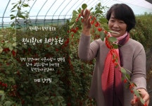 진시황네희망농원