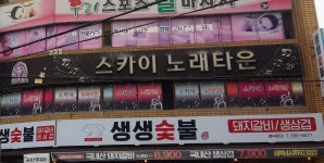 스카이노래타운