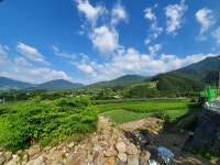 충남민박