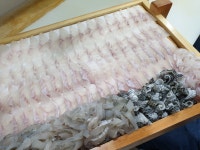 금강수산