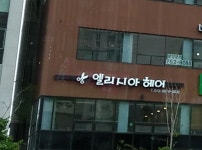 엘리시아헤어 하늘도시점