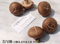 드림밸리 표고버섯 농장