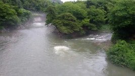 산울림 펜션