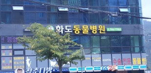 화도동물병원