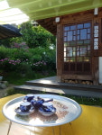 합송리 994