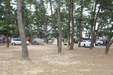 몽산포패밀리데이캠핑장