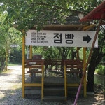 칠포그린로즈캠핑펜션야영장