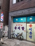 윤이발