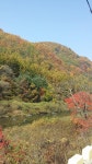하늘정원민박