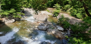 파래소 자연애 펜션