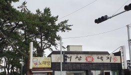 서산불낙지
