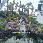 월정리 쉬엉갑서예