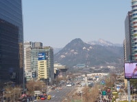 다정한행정사사무소