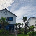 월정리 쉬엉갑서예