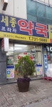 세종프라자약국