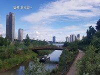 중흥사랑공인중개사사무소