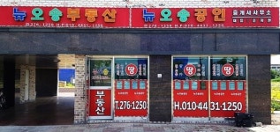 뉴오송공인중개사사무소