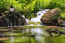 뉴오송공인중개사사무소
