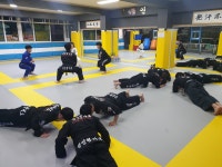 팀카운터 MMA.합기도.킥복싱