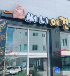 써니애견
