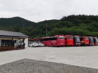 새신흥관광