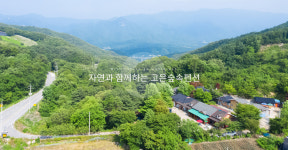 고은숲속