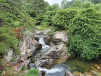 무주 솔밭야영장