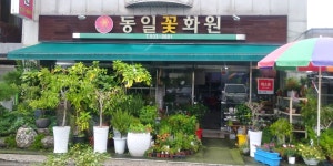 동일꽃화원
