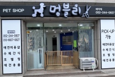 멍블리