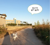 영덕고래불민박