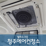 월화수크린