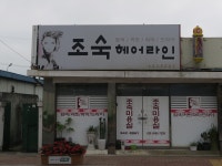 조숙헤어라인
