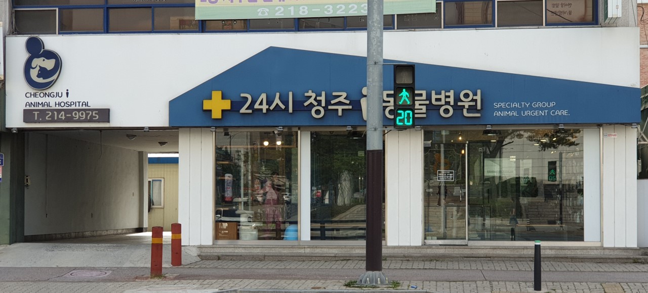 24시청주i동물병원