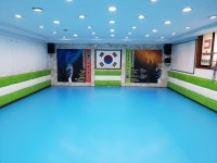 이문동 쌍용태권도