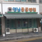 영남동물병원