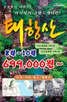 다옴여행사