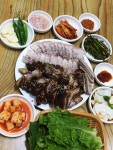 백록담통도야지