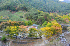 방화동가족휴가촌오토캠핑장