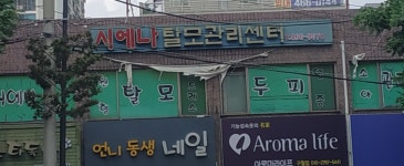 시에나 두피탈모관리센터