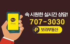 보라공인중개사사무소